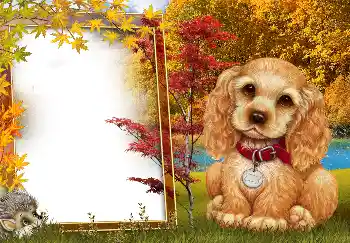 Fotografický efekt z kategorie Podzim № 190594 Fotografický efekt z kategorie Podzim № 190594