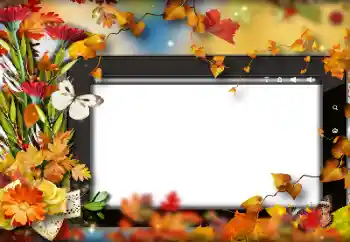 Fotografický efekt z kategorie Podzim № 191705