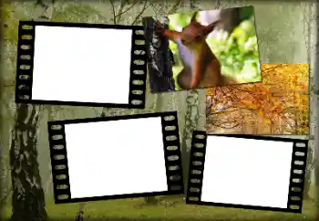 Fotografický efekt z kategorie Podzim № 192848