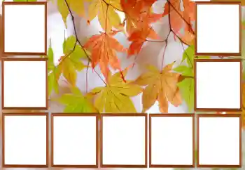 Fotografický efekt z kategorie Podzim № 195267