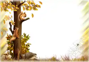 Fotografický efekt z kategorie Podzim № 196642