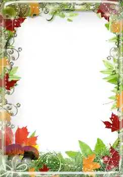 Fotografický efekt z kategorie Podzim № 2014 Fotografický efekt z kategorie Podzim № 2014