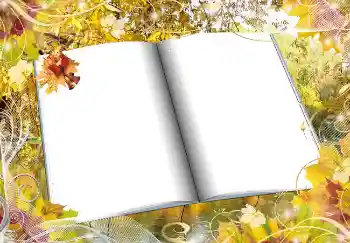 Fotografický efekt z kategorie Podzim № 2016 Fotografický efekt z kategorie Podzim № 2016