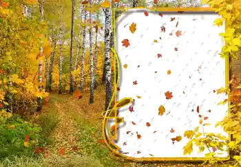 Fotografický efekt z kategorie Podzim № 2029 Fotografický efekt z kategorie Podzim № 2029