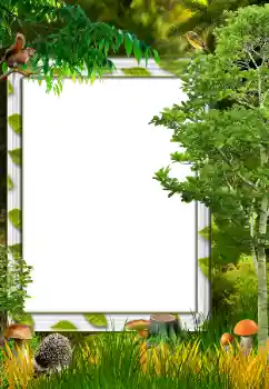 Fotografický efekt z kategorie Podzim № 34731 Fotografický efekt z kategorie Podzim № 34731