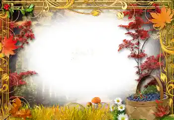 Fotografický efekt z kategorie Podzim № 34761 Fotografický efekt z kategorie Podzim № 34761