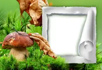 Fotografický efekt z kategorie Podzim № 34933 Fotografický efekt z kategorie Podzim № 34933