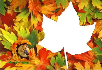 Fotografický efekt z kategorie Podzim № 60345