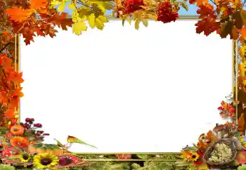 Fotografický efekt z kategorie Podzim № 62654