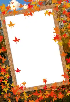 Fotografický efekt z kategorie Podzim № 68614