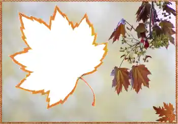 Fotografický efekt z kategorie Podzim № 80359