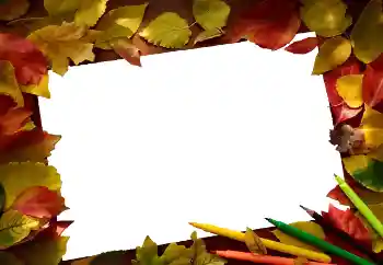 Fotografický efekt z kategorie Podzim № 81689