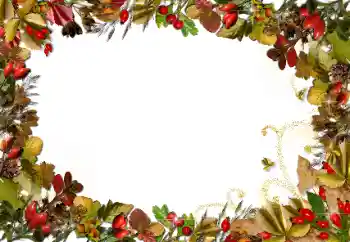 Fotografický efekt z kategorie Podzim № 89438