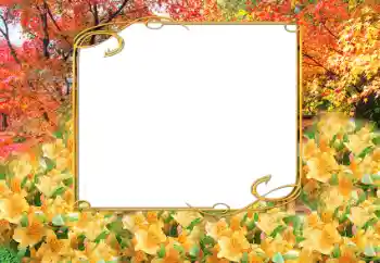 Fotografický efekt z kategorie Podzim № 9797 Fotografický efekt z kategorie Podzim № 9797