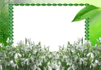 Fotografický efekt z kategorie Jaro № 11868