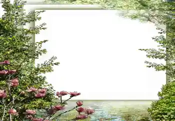 Fotografický efekt z kategorie Jaro № 149187