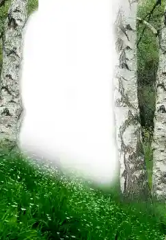 Fotografický efekt z kategorie Jaro № 149305