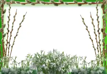 Fotografický efekt z kategorie Jaro № 197647