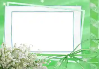 Fotografický efekt z kategorie Jaro № 33834