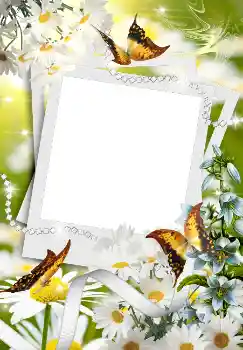 Fotografický efekt z kategorie Jaro № 4611