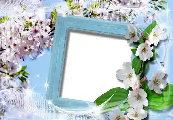 Fotografický efekt z kategorie Jaro № 4619