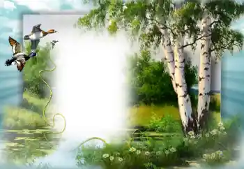 Fotografický efekt z kategorie Jaro № 49552 Fotografický efekt z kategorie Jaro № 49552