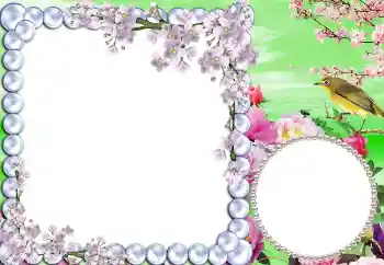 Fotografický efekt z kategorie Jaro № 5511