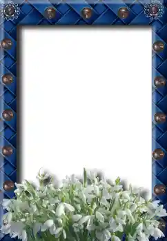 Fotografický efekt z kategorie Jaro № 8734