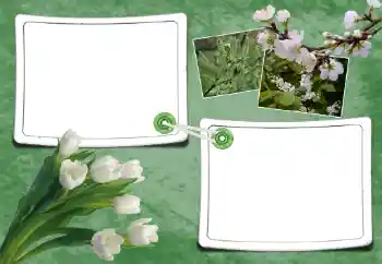 Fotografický efekt z kategorie Jaro № 93095