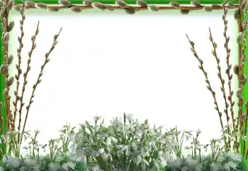 Fotografický efekt z kategorie Jaro № 94595