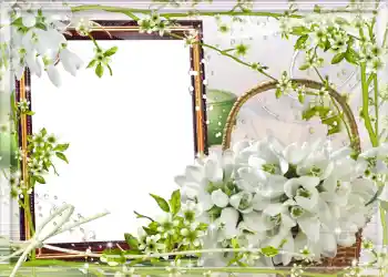 Fotografický efekt z kategorie Jaro № 980