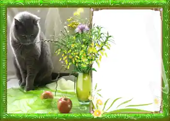 Fotografický efekt z kategorie Jaro № 982