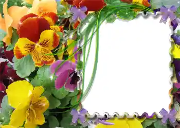 Fotografický efekt z kategorie Jaro № 983