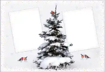 Fotografický efekt z kategorie Zima № 105223