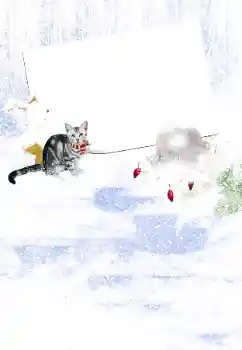 Fotografický efekt z kategorie Zima № 105450