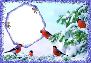 Fotografický efekt z kategorie Zima № 105588