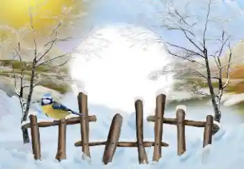 Fotografický efekt z kategorie Zima № 110837