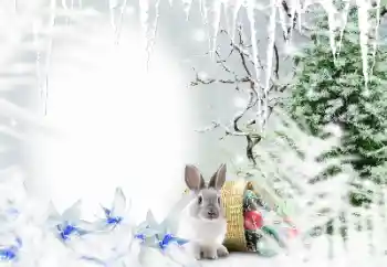 Fotografický efekt z kategorie Zima № 128650 Fotografický efekt z kategorie Zima № 128650