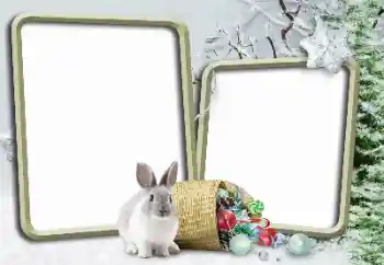 Fotografický efekt z kategorie Zima № 148975 Fotografický efekt z kategorie Zima № 148975