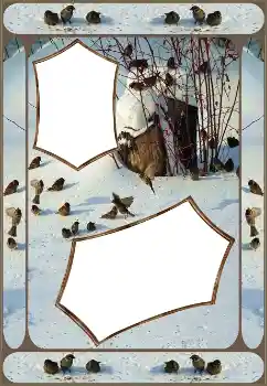 Fotografický efekt z kategorie Zima № 151645 Fotografický efekt z kategorie Zima № 151645