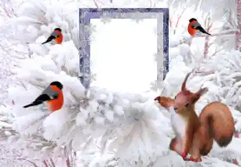 Fotografický efekt z kategorie Zima № 160607 Fotografický efekt z kategorie Zima № 160607