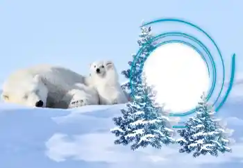 Fotografický efekt z kategorie Zima № 163218 Fotografický efekt z kategorie Zima № 163218