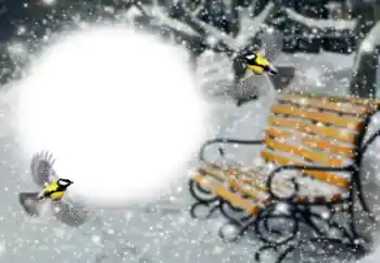 Fotografický efekt z kategorie Zima № 191760 Fotografický efekt z kategorie Zima № 191760