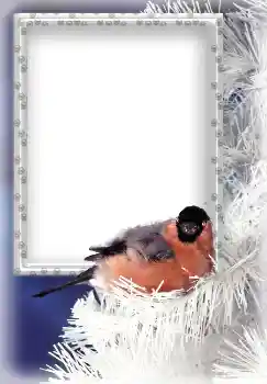 Fotografický efekt z kategorie Zima № 3339 Fotografický efekt z kategorie Zima № 3339