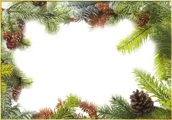 Fotografický efekt z kategorie Zima № 3395 Fotografický efekt z kategorie Zima № 3395