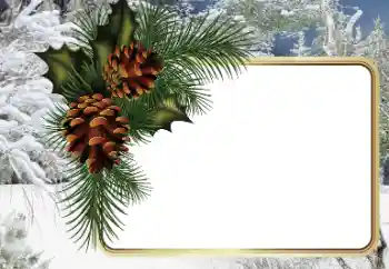 Fotografický efekt z kategorie Zima № 34794