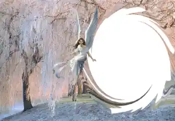 Fotografický efekt z kategorie Zima № 36261