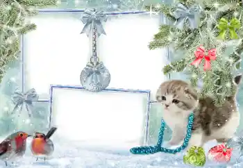 Fotografický efekt z kategorie Zima № 38960