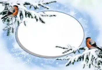 Fotografický efekt z kategorie Zima № 42676