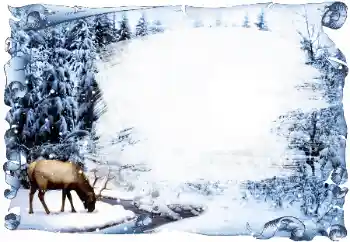 Fotografický efekt z kategorie Zima № 42685